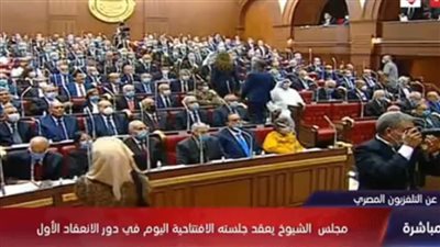 أعضاء مجلس الشيوخ يؤدون اليمين الدستورية خلال الجلسة العامة الاجرائية  