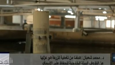  أساتذة جامعة بنها يتوصلون لأول نموذج مكثف من الاستزراع السمكي 