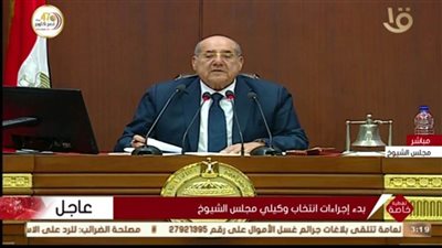 عبد الوهاب عبد الرازق يترشح منفردا لرئاسة مجلس الشيوخ 2020