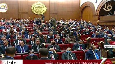 ماذا قال نواب الشيوخ في أولي جلساته؟