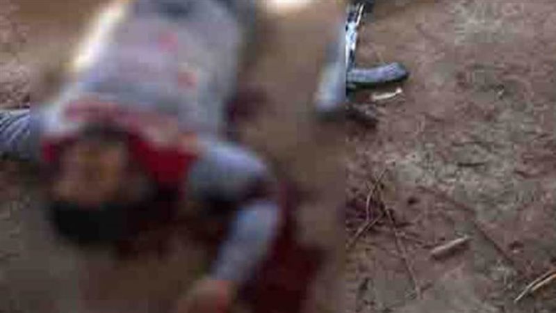 العناصر الإجرامية