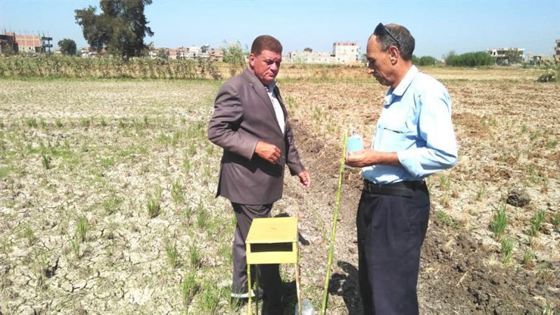 وكيل وزارة الزراعة