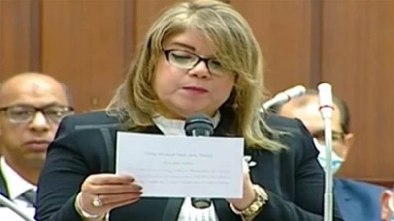 النائبة فيبي فوزى