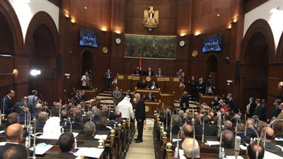 الجلسة العامة الأولي للشيوخ 