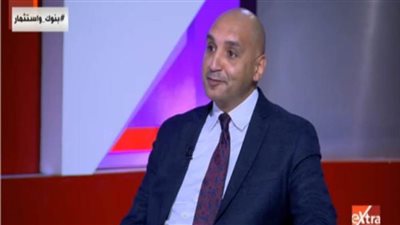 المدير الإقليمي لشركة فيزا: 44% من المصريين اشتروا السلع أون لاين