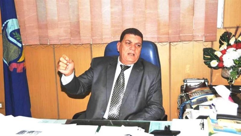 المهندس محمد الزواوى