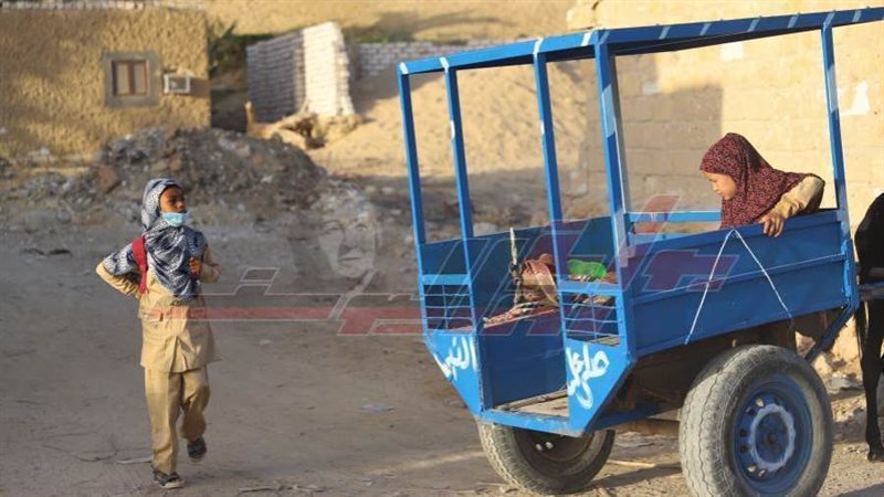 عربة صغيرة يجرها