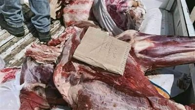 ضبط لحوم غير صالحة للاستهلاك الآدمي بالبحيرة