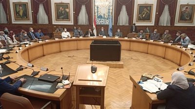 محافظ القاهرة يصدر تعليمات مهمة لمواجهة كورونا