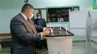 رئيس بعثة الجامعة العربية: انتخابات البرلمان المصري محطة واعدة فى توطيد النسيج المؤسساتى للدولة المصرية 