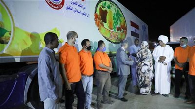 وزيرة الصحة: إرسال ٣٤ طن مبيدات ومعدات رش لمواجهة آثار الفيضانات والسيول بالسودان