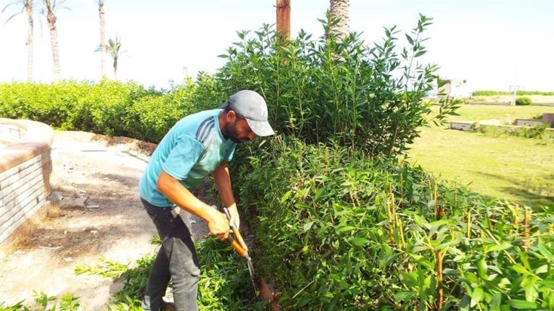 أعمال النظافة