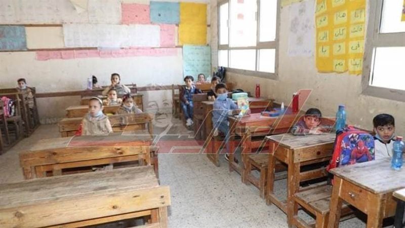 تلاميذ المنوفية في