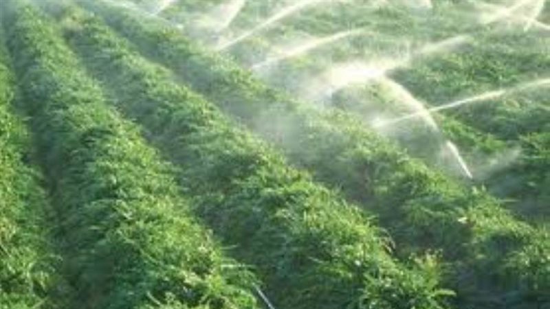 ري الأراضي الزراعية