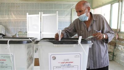 بدء تصويت اليوم الثاني وانتظام العمل بكافة كافة اللجان 