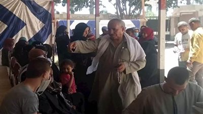 الداخلية تكشف حقيقة فيديو وقف العملية الانتخابية في لجنة بالجيزة