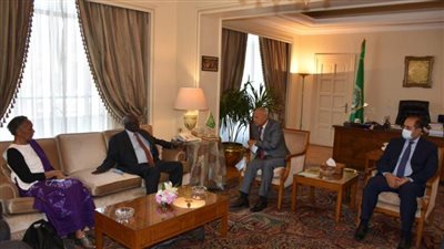 أبوالغيط: الجامعة العربية تربطها علاقات متميزة مع جنوب السودان