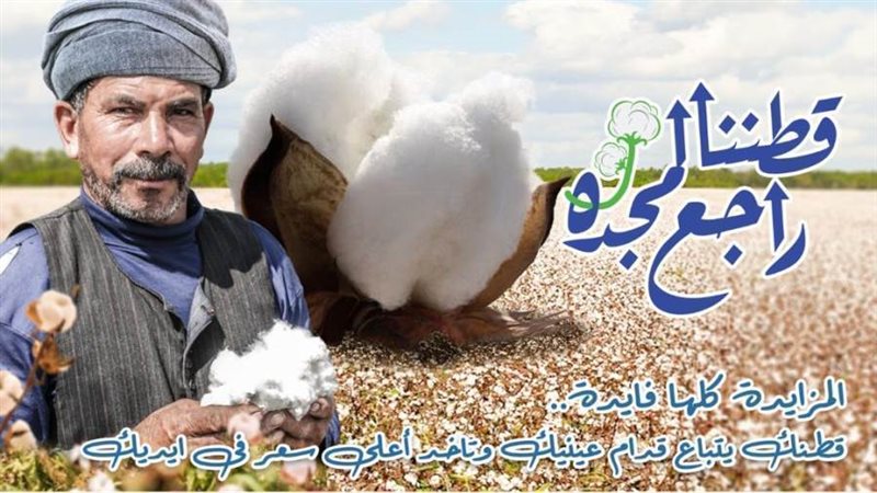 ارتفاع اسعار القطن