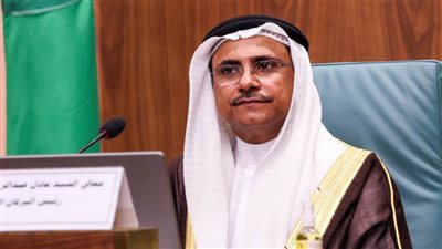 البرلمان العربي يؤكد دعمه لوحدة واستقرار الصومال