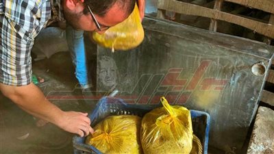 ضبط 1500 كيلو لحوم مفروم فاسدة بطوخ