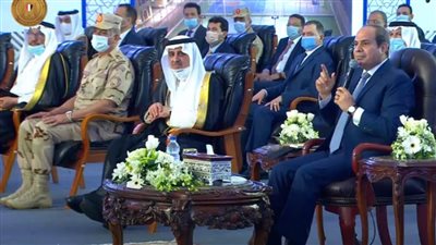 عاجل.. السيسي: عدم الاستقرار يعني ضياع الدولة والتمن اللي بندفعه كبير أوي (فيديو)