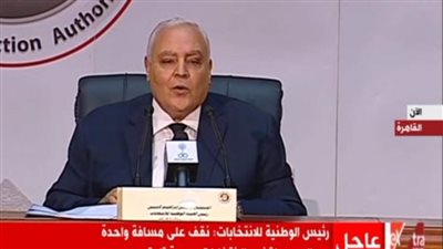 لاشين إبراهيم للنواب الفائزين: كونوا نوابا لمصر كلها وليس لدائرة انتخابية