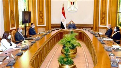   الرئيس السيسي يوجه بتوفير مواد الانتاج لمدينة دمياط للاثاث