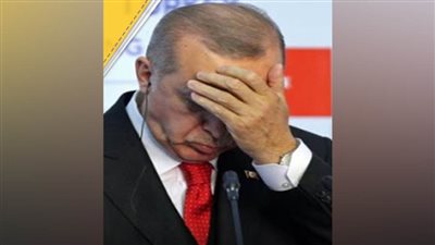 الغضب الشعبي ضد أردوغان ينتقل إلى ألمانيا والمعارضة تدعو لانتخابات رئاسية مبكرة