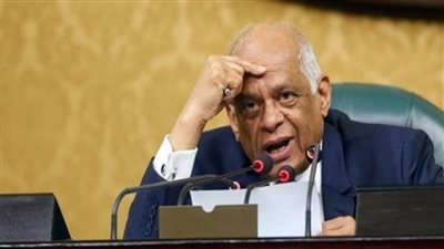 مجلس النواب يرفض رفع الحصانة عن النائب خالد بشر