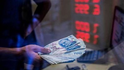 87 % من الأتراك متشائمون ويرون أن الاقتصاد التركي يسقط إلى الهاوية 