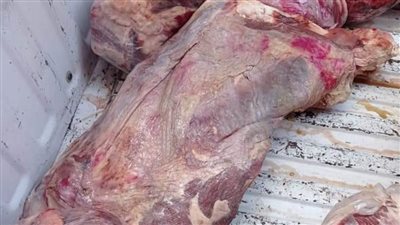 تحرير ٢٣ محضرا في حملة تموينية مكبرة بالبحيرة