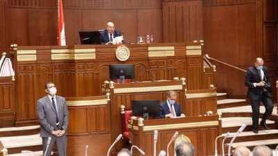 لجنة إعداد اللائحة الداخلية لمجلس الشيوخ تستكمل أعمالها