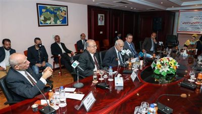 خبراء: مصر حائط الصد في مواجهة النفوذ التركي بالمنطقة