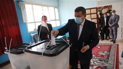 وزير الدولة للإعلام: مشاركة المواطنين في انتخابات مجلس النواب واجب وطني