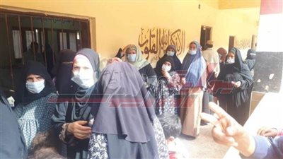 القرى تتفوق على المدن في كثافة التصويت بـ”المنوفية“