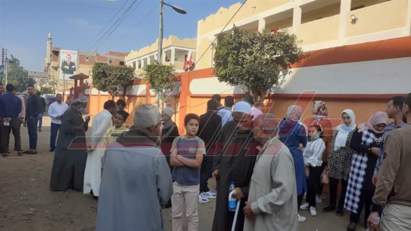 لجان الانتخابات في