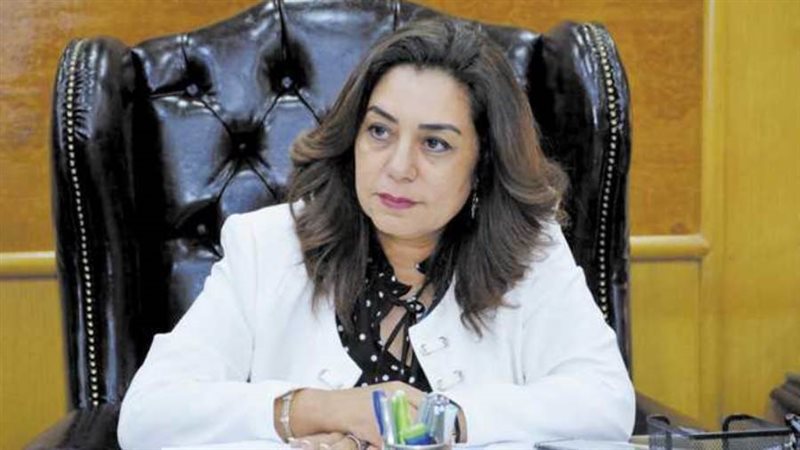 محافظ دمياط منال