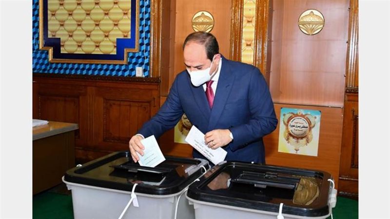 الرئيس السيسي يدلي