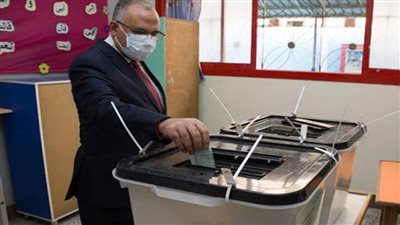 وزير الري يشيد بالإجراءات الإحترازية وتأمين انتخابات مجلس النواب   