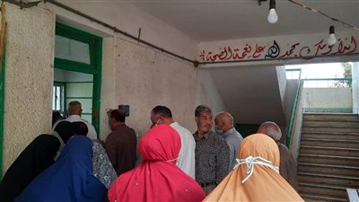الناخبون يتوافدون على لجان الانتخابات البرلمانية بالدقهلية