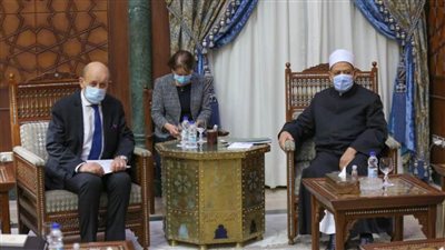 الإمام الأكبر: الأزهر قديمًا وحديثًا يواجه الإرهاب فكرًا وتعليمًا