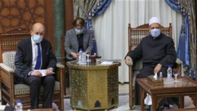 الإمام الأكبر: الإرهاب صنيعة دولية وأكبر ضحاياه العرب والمسلمون