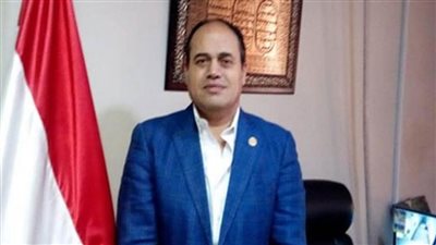 البجرمى: نراقب التصويت فى 9 لجان عامة و7 لجان انتخابية