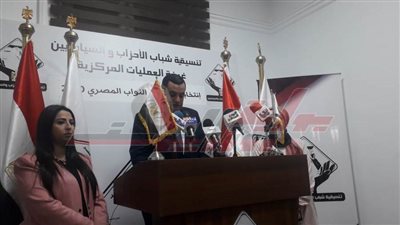 تنسيقية شباب الأحزاب: لا توجد خروقات في انتخابات مجلس النواب