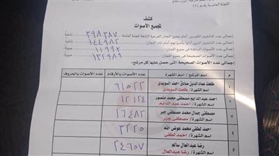 البيان الإحصائي للدائرة الخامسة بديرب نجم.. الإعادة لـ 4 مرشحين
