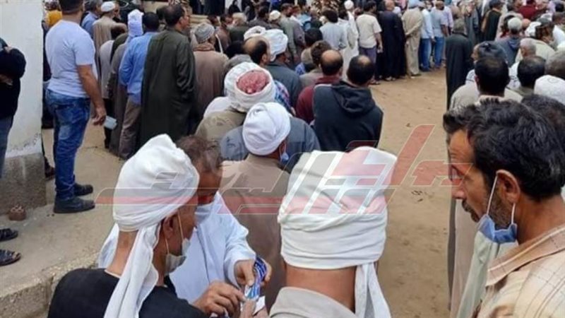 زحام أمام لجان كفرالشيخ