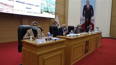 تنفيذي الوادي الجديد يخصص مساحات لمشروعات خدمية بالخارجة والداخلة