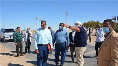 محافظ الوادي الجديد: زراعة ١٦٠٠ شجرة ماهوجني بمحيط مجمع المصالح