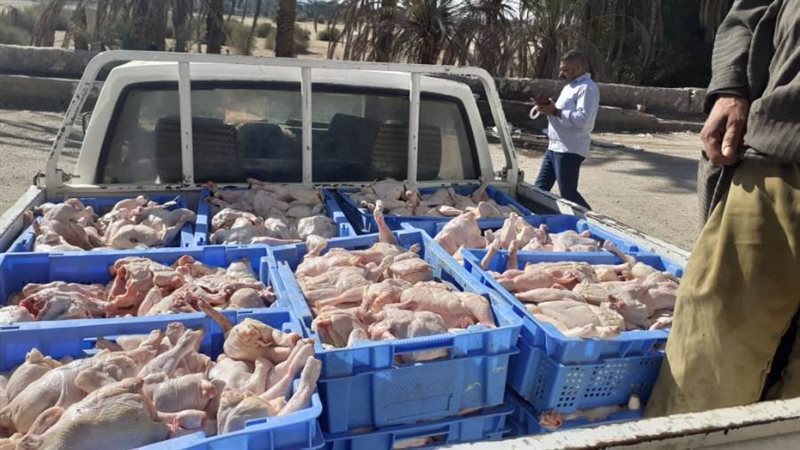 ضبط 11 طن و700 كيلو