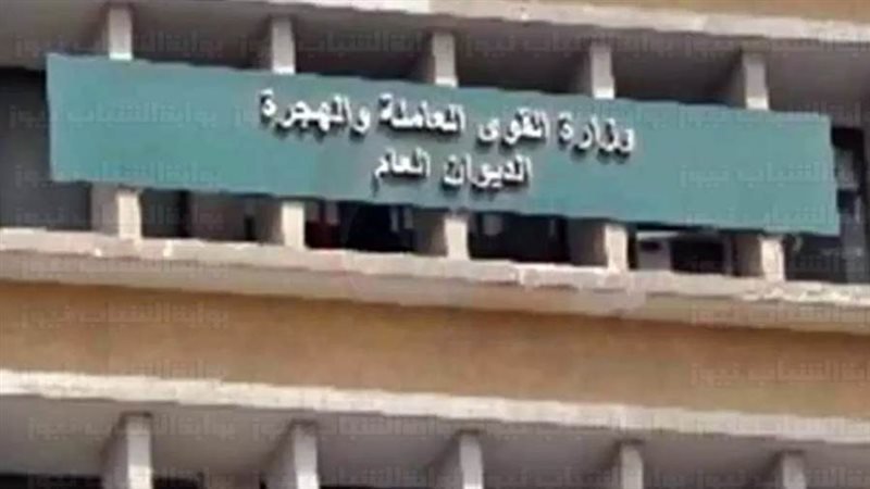 القوى العاملة - صورة